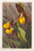 Postcard from Jonathan Williams to John Webb