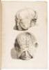 Anatomia Humani Corporis - 6