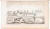 Report of the Secretary of War, communicating...a report and map of the examination of New Mexico, made by Lieutenant J.W. Abert, of the topographical corps. - 3