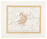 "Cancer"- from A Celestial Atlas, Plate XVI