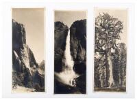 Three Photographs from Yosemite