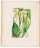 A Century of Orchidaceous Plants selected from Curtis's Botanical Magazine. Consisting of those most worthy of cultivation, systematically arranged, and illustrated with coloured figures and dissections chiefly executed by Mr. Fitch. Accompanied by an int - 5