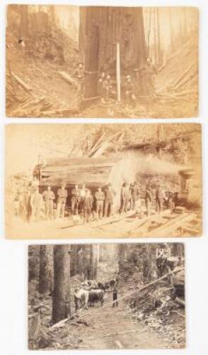 Boudoir Cabinet Card of Lumberjacks and Lumbering