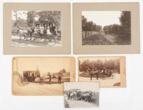 Horse and Carriage Photographs