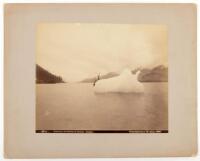 Iceberg In The Harbor at Juneau, Alaska