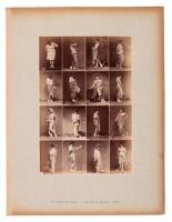Female nude - sixteen albumen photographs on single sheet