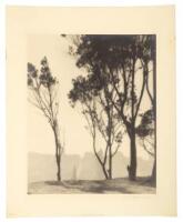 Westward view of San Francisco from Pioneer Park, Telegraph Hill