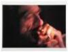 The Iris Prints - 4