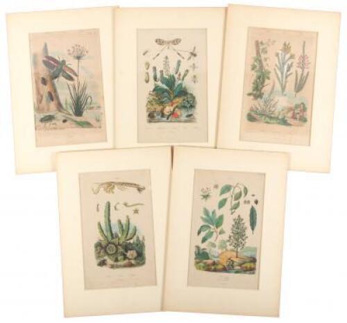 Five hand-colored botanical and entomological lithographs from drawings by F.E. Gu&eacute;rin
