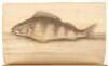 The History of Esculent Fish - 4