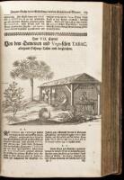 Museum Museorum, oder vollst&auml;ndige Schau-B&uuml;hne aller Materialien und Specereyen, nebst deren nat&uuml;rlichen Beschreibung... Aus andern Material-Kunst- und Naturalien-Kammern, Oost- und West-Indischen Reiss-Beschreibungen