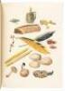 Mushrooms, Russia and History - 5