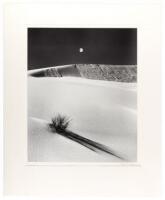 Yucca, Moon, and Dune