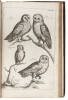 The Ornithology...Wherein All the Birds Hitherto Known, Being Reduced into a Method Suitable to Their Natures, are Accurately Described...To Which are Added, Three Considerable Discourses...by John Ray - 3