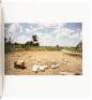 William Eggleston's Guide - 5
