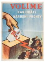 VOLIME KANDIDATY NARODNI FRONTY / WE VOTE FOR CANDIDATES OF NARODNI FRONTA