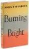 Burning Bright: A Play in Story Form