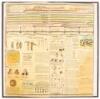 A Chronological Chart of Ancient, Modern and Biblical History. Synchronized by Sebastian C. Adams - 4