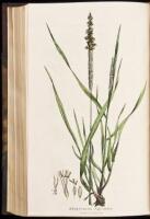 Hortus Gramineus Woburnensis: Or, An Account of the Results of Experiments on the Produce and Nutritive Qualities of Different Grasses and Other Plants