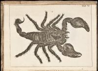Historia Insectorum Generalis