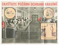 ZAJISTUJTE POZARNI OCHRANU KRAVINU / SECURE FIRE PROTECTION OF COWSHEDS