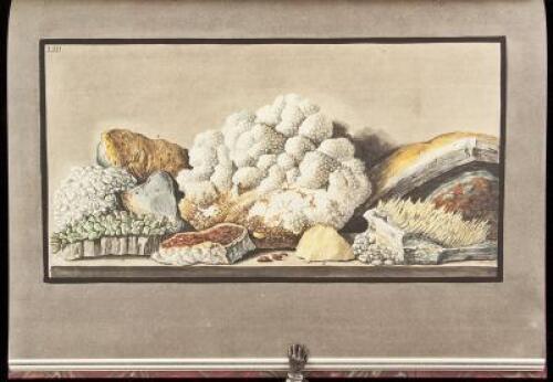 Campi Phlegr&aelig;i: Observations on the Volcanos of the Two Sicilies