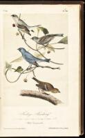 The Birds of America, From Drawings Made in the United States and Their Territories. Volume III.