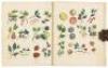 Culpeper's Complete Herbal to Which is Now Added Upwards of One Hundred Additional Herbs, with a Display of Their Medicinal and Occult Qualities... - 2