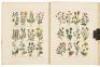 Culpeper's Complete Herbal to Which is Now Added Upwards of One Hundred Additional Herbs, with a Display of Their Medicinal and Occult Qualities... - 3