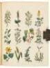 Culpeper's Complete Herbal to Which is Now Added Upwards of One Hundred Additional Herbs, with a Display of Their Medicinal and Occult Qualities... - 5