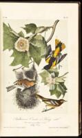 The Birds of America, From Drawings Made in the United States and Their Territories. Volume IV.