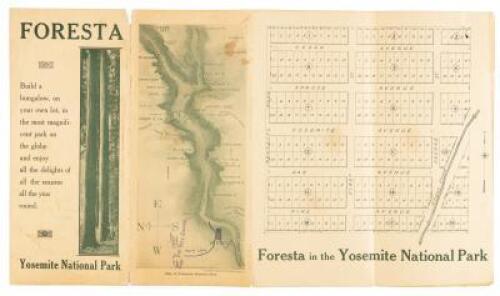 Foresta... Yosemite National Park