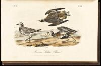 The Birds of America, From Drawings Made in the United States and Their Territories. Volume V.