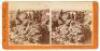 Six stereo views of the Modoc War - 7