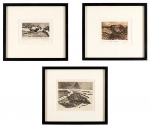 Three framed etchings by George Ball