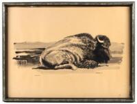 Sleeping Buffalo