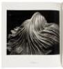 Edward Weston: A Legacy - 3