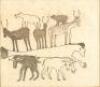 Human-faced sea creature with four-legged animals - 2