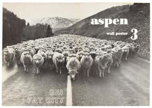Ski Fat City - Aspen Wall Poster 3