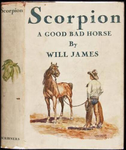 Scorpion: A Good Bad Horse