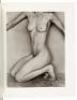 Edward Weston: Nudes - 3