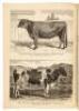 The National Live-Stock Journal: A Monthly Publication Devoted Exclusively to Live-Stock Interests. Volumes 9 and 10 - 2