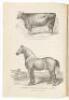 The National Live-Stock Journal: A Monthly Publication Devoted Exclusively to Live-Stock Interests. Volumes 7 and 8 - 2