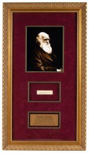 Charles Darwin Framed Signature