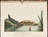 Voyage de d&eacute;couvertes aux terres australes - Part I of Atlas only