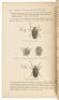 On the Tendency of Species to Form Varieties; and on the Perpetuation of Varieties and Species by Natural Means of Selection - 3