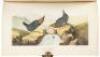 The Birds of America, From Drawings Made in the United States and Their Territories. Volume II - 3