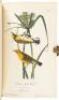 The Birds of America, From Drawings Made in the United States and Their Territories. Volume II - 7