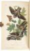 The Birds of America, From Drawings Made in the United States and Their Territories. Volume I - 4