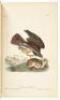 The Birds of America, From Drawings Made in the United States and Their Territories. Volume I - 5